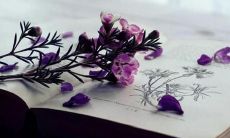 祝你每天开心的句子 祝每天心情快乐的句子