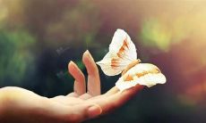 超级激动开心的句子 描写激动心情的一段话