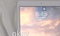积极感恩的句子 文章