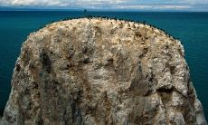 冬季问候语短信