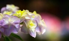 因为结婚的事不开心的句子