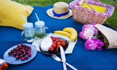 春天春游开心的句子