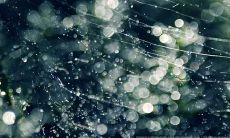 心态好开心的句子 心态好的优美句子