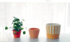 形容小朋友春游开心的句子