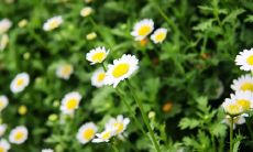 搞笑开心励志的句子