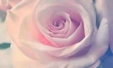 逗你开心很皮的句子