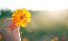 开心简单随心的句子