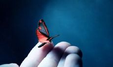 分手后伤心的句子