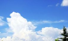 坚强开心的句子