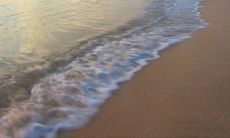 越努力越开心的句子