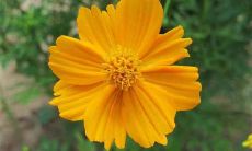 12月客户问候短信