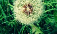 古诗友情的句子唯美的句子