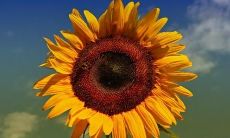 朋友心碎的句子