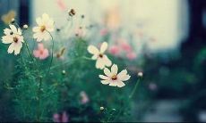 痛到心碎唯美的句子