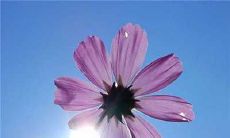 描写友情和好的句子