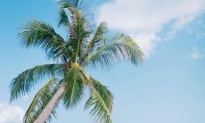 做瑜伽开心的唯美句子