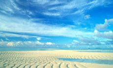 形容爱情伤感的语句