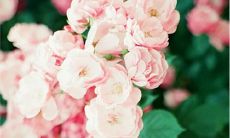 给所有人开心的句子