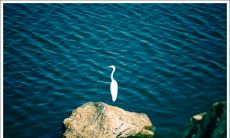 用环境来渲染开心的句子