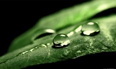 艾弗森励志名言