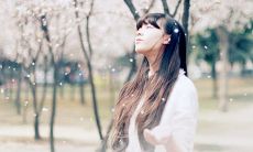 经典爱情语录第十七期