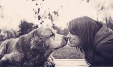 温馨快乐的开心句子