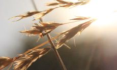 逗女生开心的句子