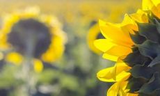 2022最潮最火的个性签名