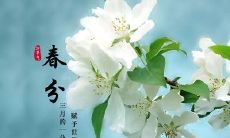 2022最新春分句子
