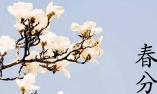 关于春分的祝福语