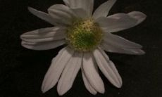 难以入睡的心情句子