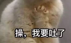 趣味文案 有趣的朋友圈说说