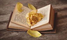 那些惊艳的原耽语录