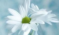 2022女生阳光积极向上的句子