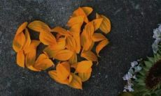 社交恐惧症的表现