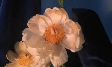 2022伤心难过的句子