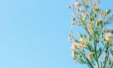 陪你细水长流的暗恋句子