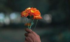 汪汪队出发狗狗口号