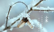 二十四节气小寒祝福语