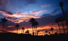 又甜又虐的爱情句子