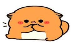 夸女生买东西豪爽的句子