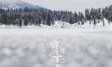 适合十二月发的句子