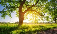 早上让朋友开心的句子