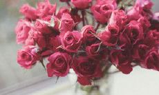 情人节祝福语送男友