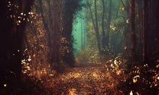 身心疲惫而无所适从,满怀担忧的心情在内心深处肆虐着,伴随着被撕裂的越来越强烈的疼痛