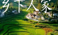 在乡间度过愉快时光的一些令人愉悦的句子