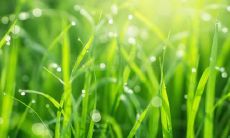 100个让你保持坚强开心的心灵鸡汤句子!