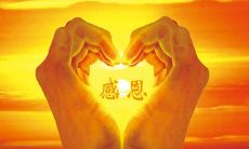 感恩公司的心情表达:用最感人的话语,表达对公司的感激之情