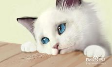 40个唯美句子，治愈心灵的重磅救星-关于克服心理困扰的最佳选择