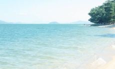 喜悦之情表达方式,有哪些能够表达开心心情的句子?